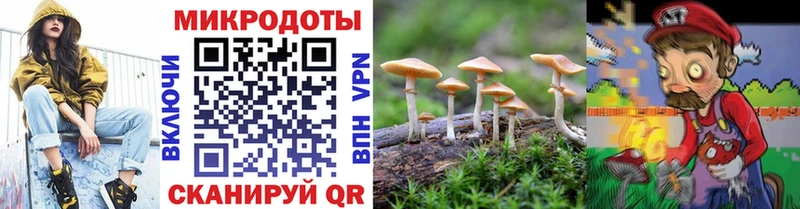 Псилоцибиновые грибы мицелий  MEGA ссылки  Якутск 